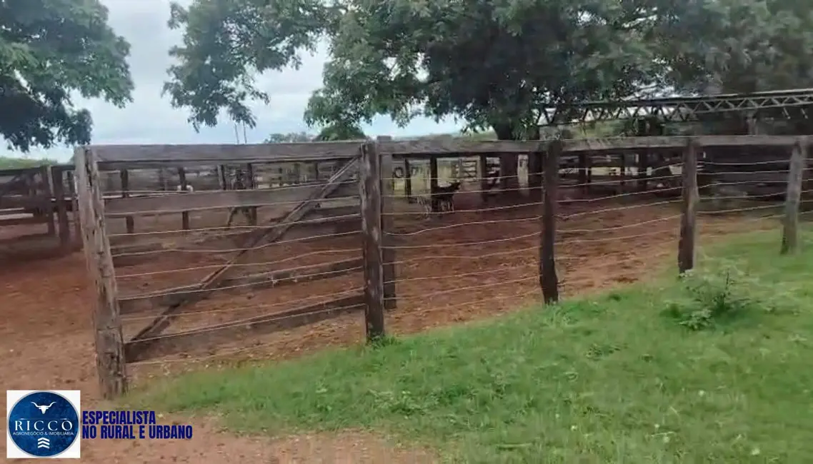 Foto 4 de Fazenda / Haras com 4 quartos à venda, 82m2 em Santa Fe De Goias - GO