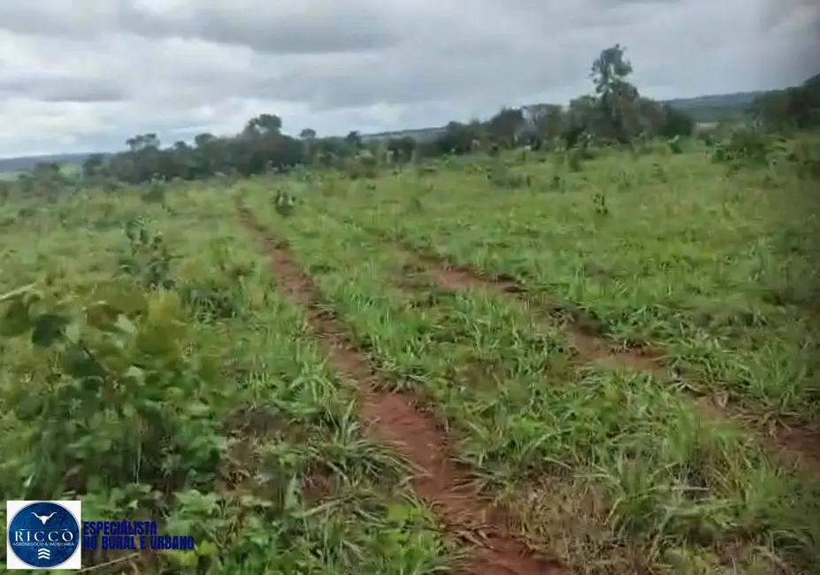 Foto 8 de Fazenda / Haras com 4 quartos à venda, 82m2 em Santa Fe De Goias - GO