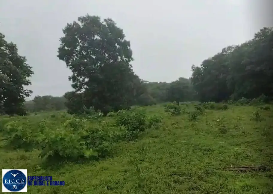 Foto 7 de Fazenda / Haras com 4 quartos à venda, 82m2 em Santa Fe De Goias - GO