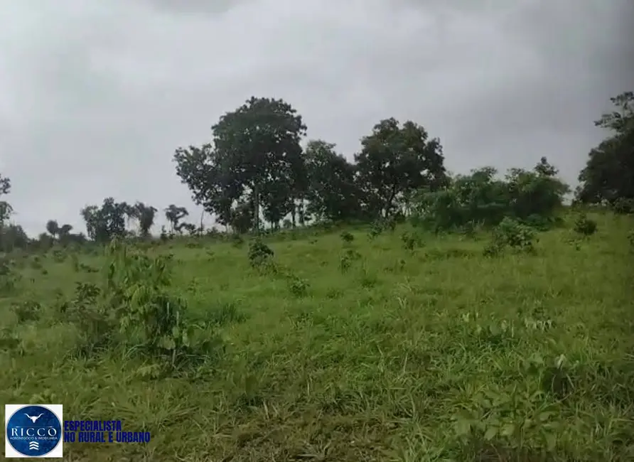 Foto 9 de Fazenda / Haras com 4 quartos à venda, 82m2 em Santa Fe De Goias - GO