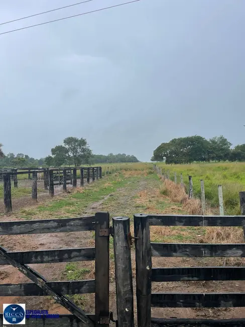 Foto 3 de Fazenda / Haras com 3 quartos à venda, 55m2 em Nova Crixas - GO
