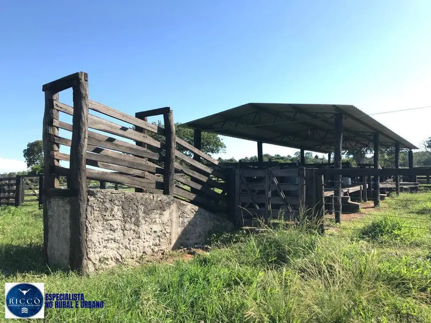 Foto 4 de Fazenda / Haras com 3 quartos à venda, 55m2 em Nova Crixas - GO