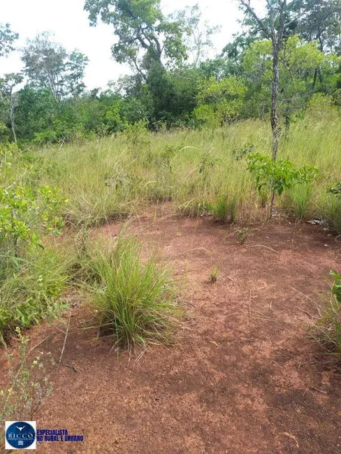 Foto 8 de Fazenda / Haras com 2 quartos à venda, 740m2 em Parana - TO