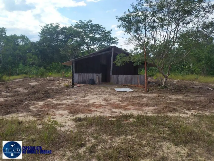 Foto 7 de Fazenda / Haras com 2 quartos à venda, 740m2 em Parana - TO