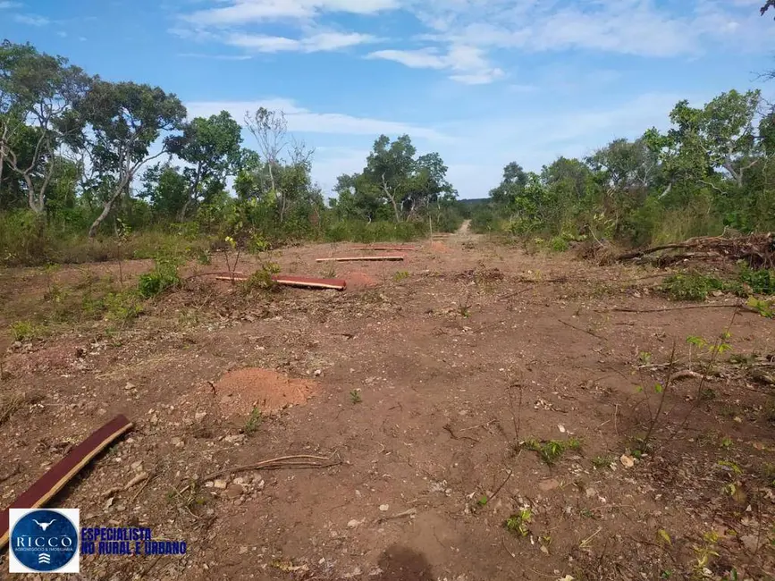 Foto 2 de Fazenda / Haras com 2 quartos à venda, 740m2 em Parana - TO