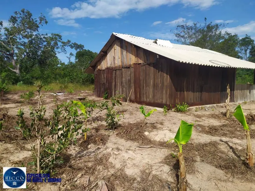 Foto 6 de Fazenda / Haras com 2 quartos à venda, 740m2 em Parana - TO