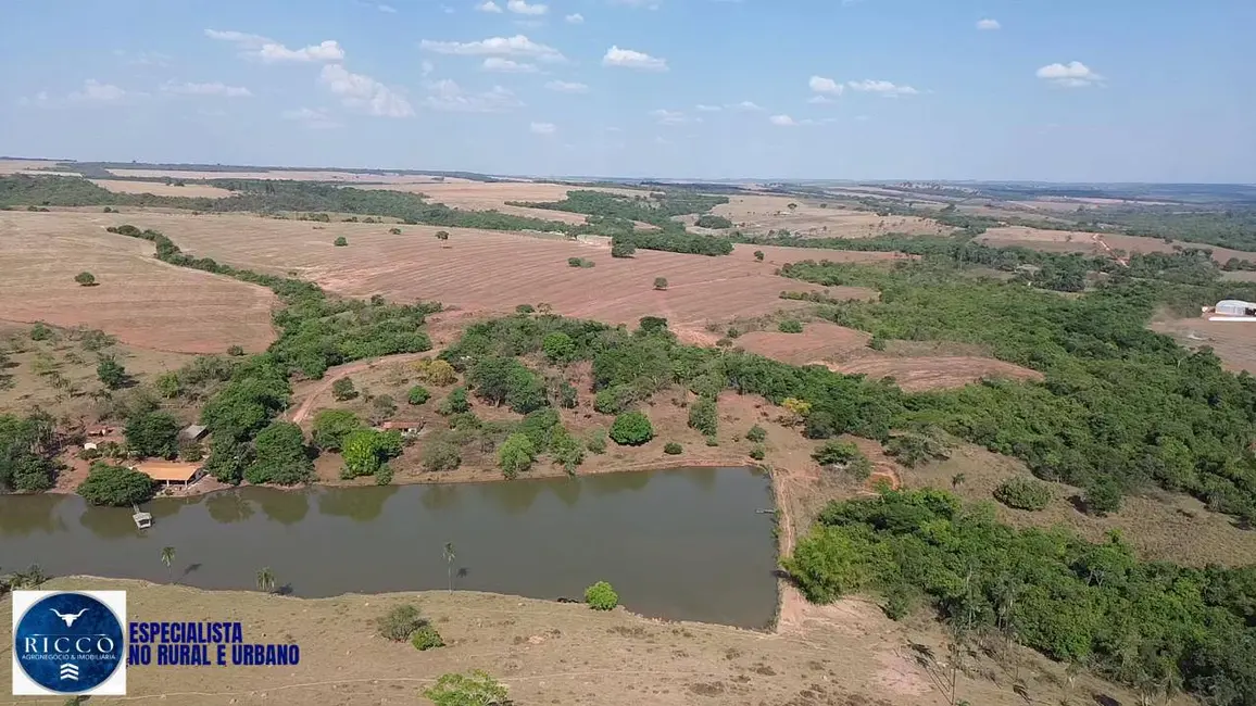 Foto 5 de Fazenda / Haras com 3 quartos à venda, 34m2 em Orizona - GO