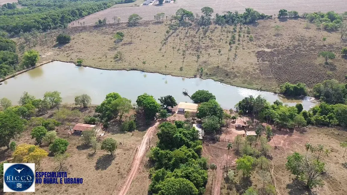 Foto 3 de Fazenda / Haras com 3 quartos à venda, 34m2 em Orizona - GO