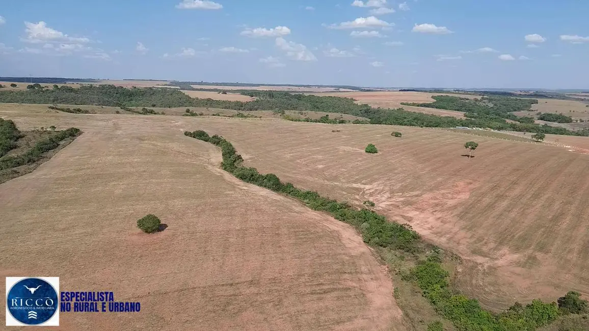 Foto 6 de Fazenda / Haras com 3 quartos à venda, 34m2 em Orizona - GO