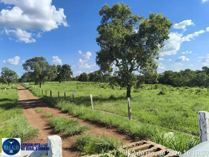 Foto 1 de Fazenda / Haras com 3 quartos à venda, 504m2 em Araguacu - TO