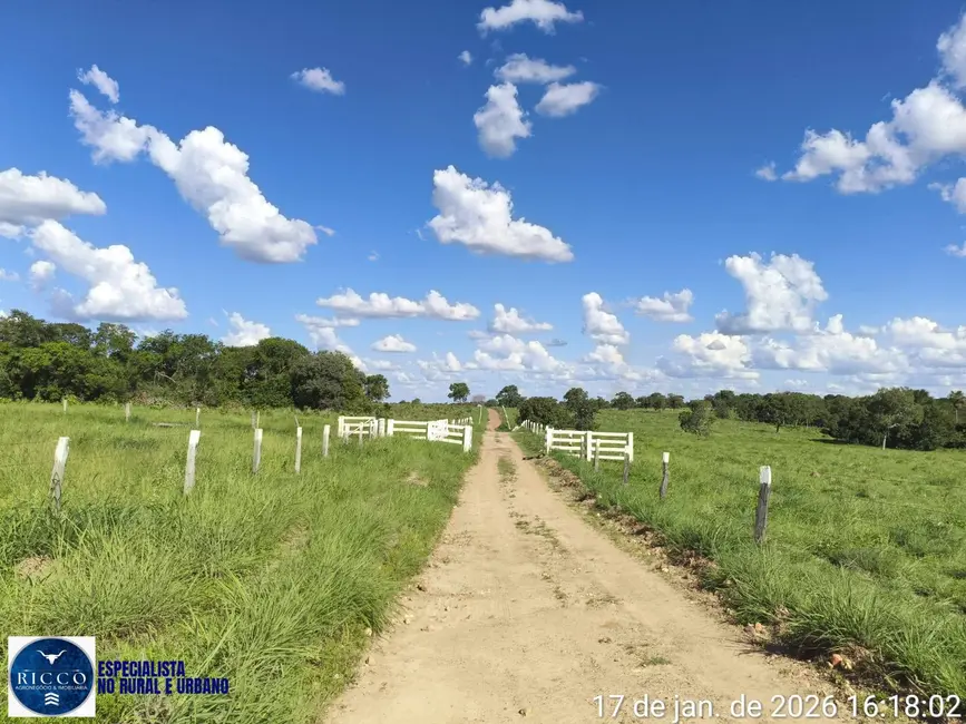 Foto 9 de Fazenda / Haras com 3 quartos à venda, 504m2 em Araguacu - TO