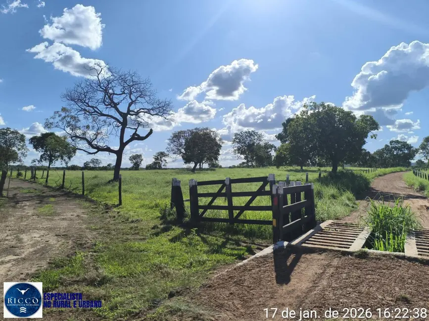 Foto 5 de Fazenda / Haras com 3 quartos à venda, 504m2 em Araguacu - TO