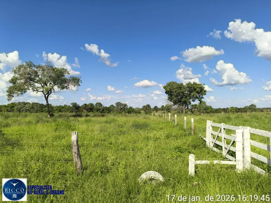 Foto 2 de Fazenda / Haras com 3 quartos à venda, 504m2 em Araguacu - TO