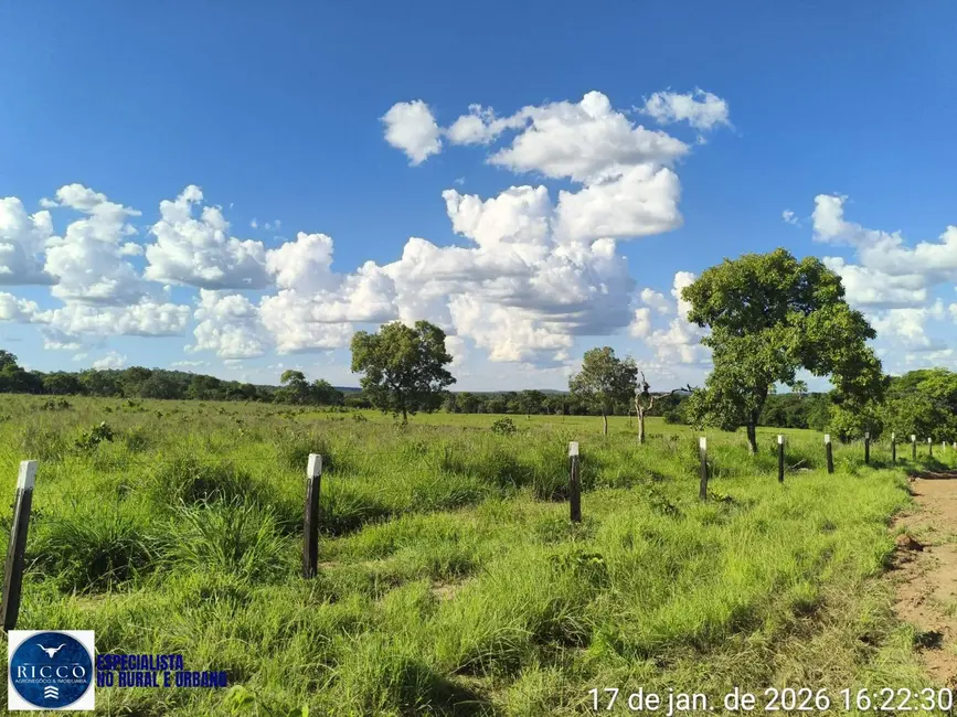 Foto 6 de Fazenda / Haras com 3 quartos à venda, 504m2 em Araguacu - TO