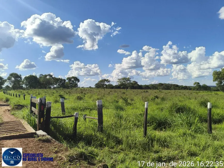 Foto 7 de Fazenda / Haras com 3 quartos à venda, 504m2 em Araguacu - TO