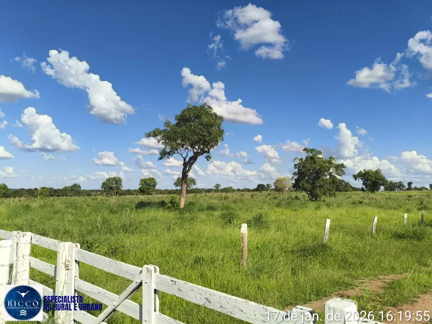 Foto 8 de Fazenda / Haras com 3 quartos à venda, 504m2 em Araguacu - TO