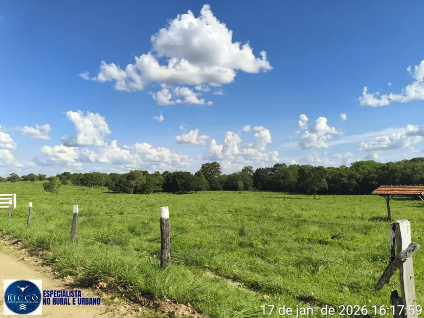 Foto 4 de Fazenda / Haras com 3 quartos à venda, 504m2 em Araguacu - TO