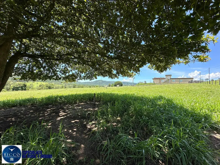 Foto 7 de Chácara com 3 quartos à venda em Sao Luis De Montes Belos - GO