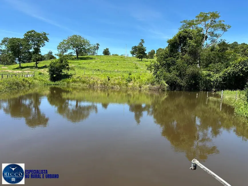 Foto 2 de Chácara com 3 quartos à venda em Sao Luis De Montes Belos - GO