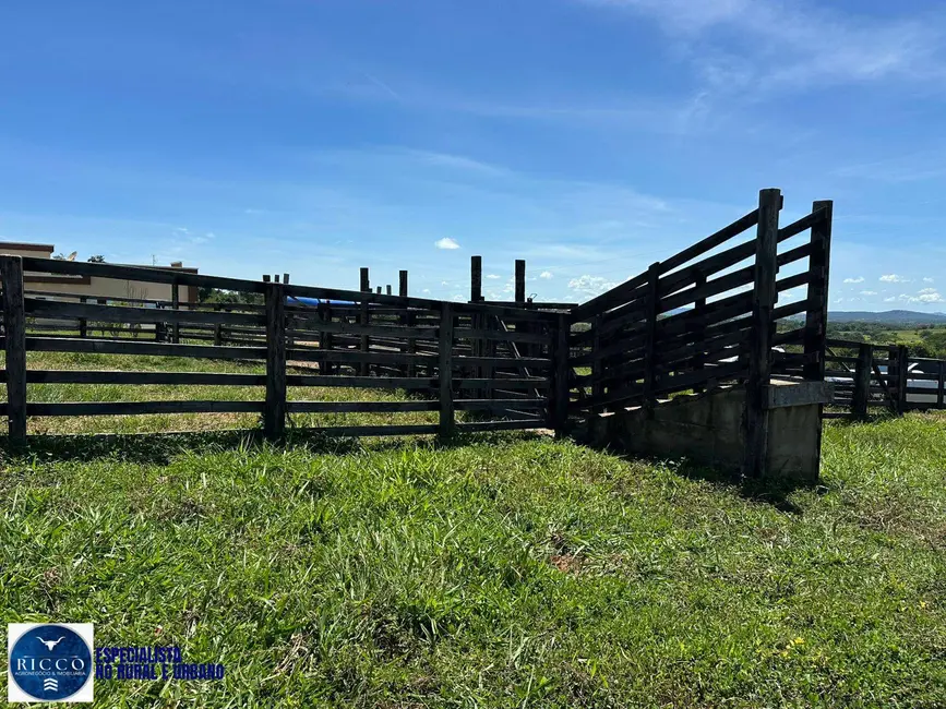 Foto 4 de Chácara com 3 quartos à venda em Sao Luis De Montes Belos - GO