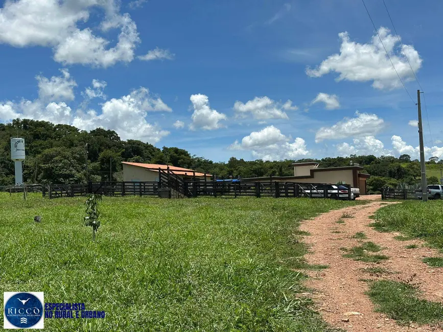 Foto 3 de Chácara com 3 quartos à venda em Sao Luis De Montes Belos - GO