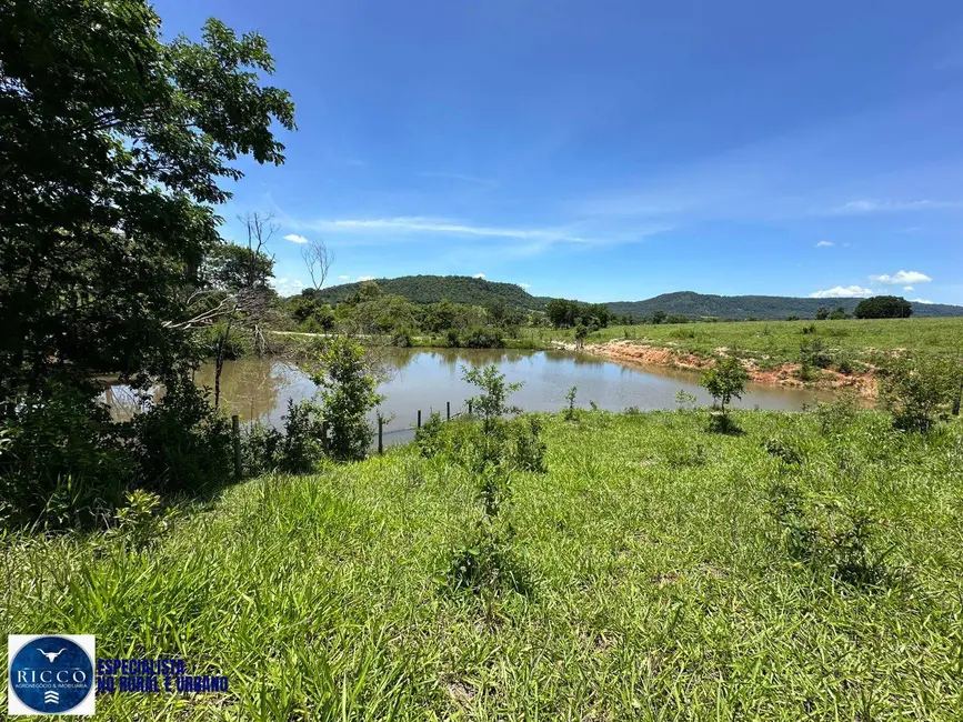 Foto 6 de Chácara com 3 quartos à venda em Sao Luis De Montes Belos - GO