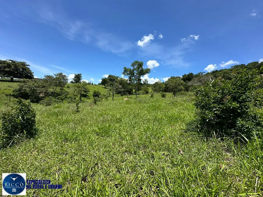 Foto 5 de Chácara com 3 quartos à venda em Sao Luis De Montes Belos - GO