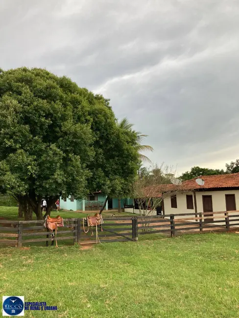 Foto 1 de Chácara com 3 quartos à venda, 8m2 em Edeia - GO