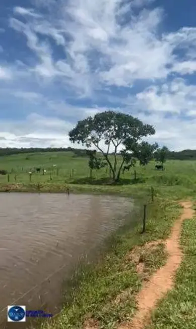 Foto 1 de Fazenda / Haras com 3 quartos à venda, 62m2 em Ipora - GO