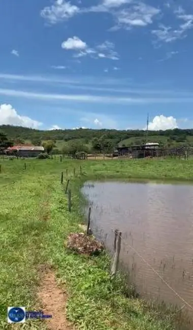 Foto 4 de Fazenda / Haras com 3 quartos à venda, 62m2 em Ipora - GO