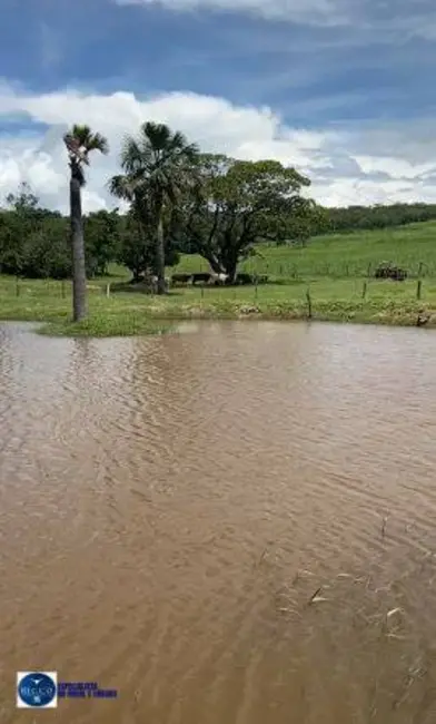 Foto 2 de Fazenda / Haras com 3 quartos à venda, 62m2 em Ipora - GO