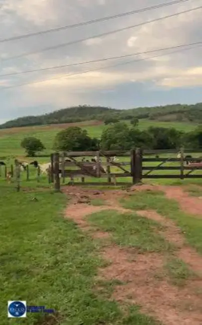 Foto 5 de Fazenda / Haras com 3 quartos à venda, 62m2 em Ipora - GO
