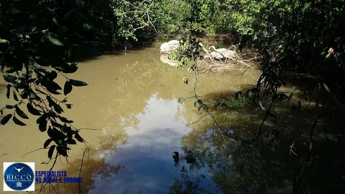 Foto 5 de Chácara com 3 quartos à venda, 10m2 em Goiás - GO