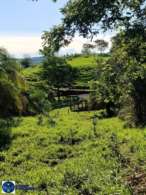 Foto 8 de Chácara com 3 quartos à venda, 10m2 em Goiás - GO