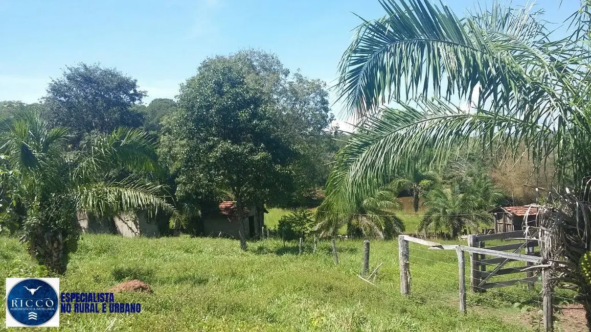 Foto 3 de Chácara com 3 quartos à venda, 10m2 em Goiás - GO