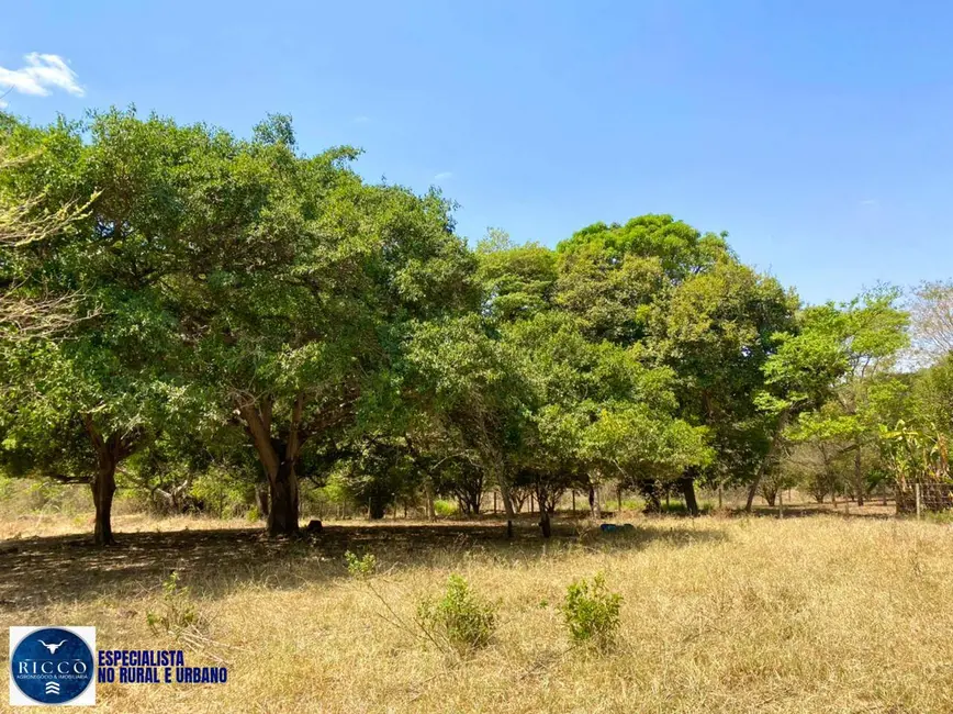 Chácara à venda, 27500m2 em Bela Vista De Goias - GO - imagem 6 Foto 6 de Chácara à venda, 27500m2 em Bela Vista De Goias - GO