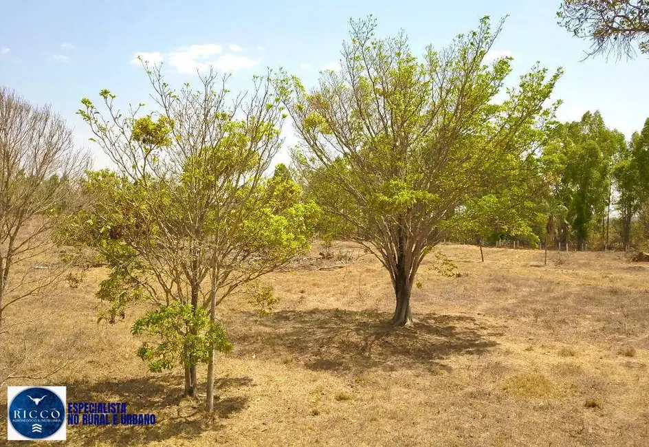 Chácara à venda, 27500m2 em Bela Vista De Goias - GO - imagem 5 Foto 5 de Chácara à venda, 27500m2 em Bela Vista De Goias - GO
