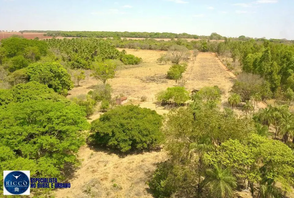 Chácara à venda, 27500m2 em Bela Vista De Goias - GO - imagem 2 Foto 2 de Chácara à venda, 27500m2 em Bela Vista De Goias - GO