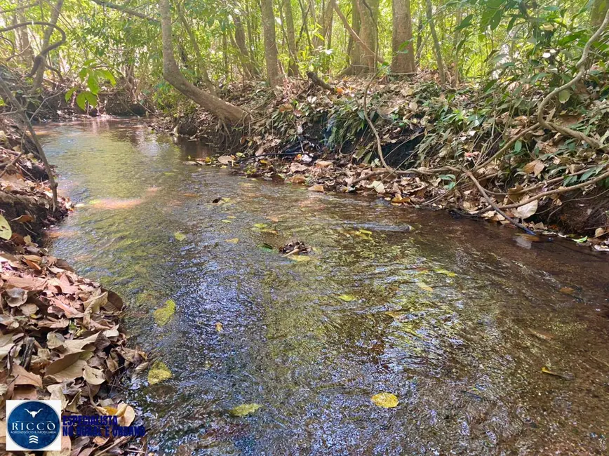 Chácara à venda, 27500m2 em Bela Vista De Goias - GO - imagem 4 Foto 4 de Chácara à venda, 27500m2 em Bela Vista De Goias - GO