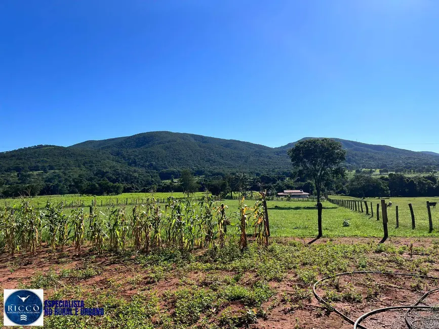 Foto 2 de Chácara com 3 quartos à venda em Pirenopolis - GO