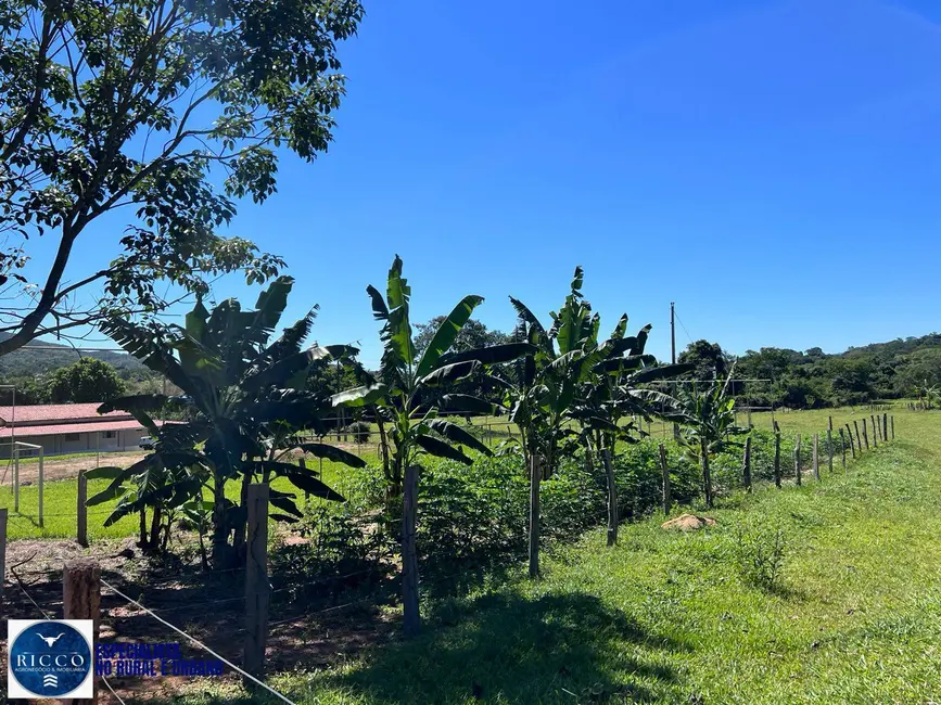 Foto 4 de Chácara com 3 quartos à venda em Pirenopolis - GO