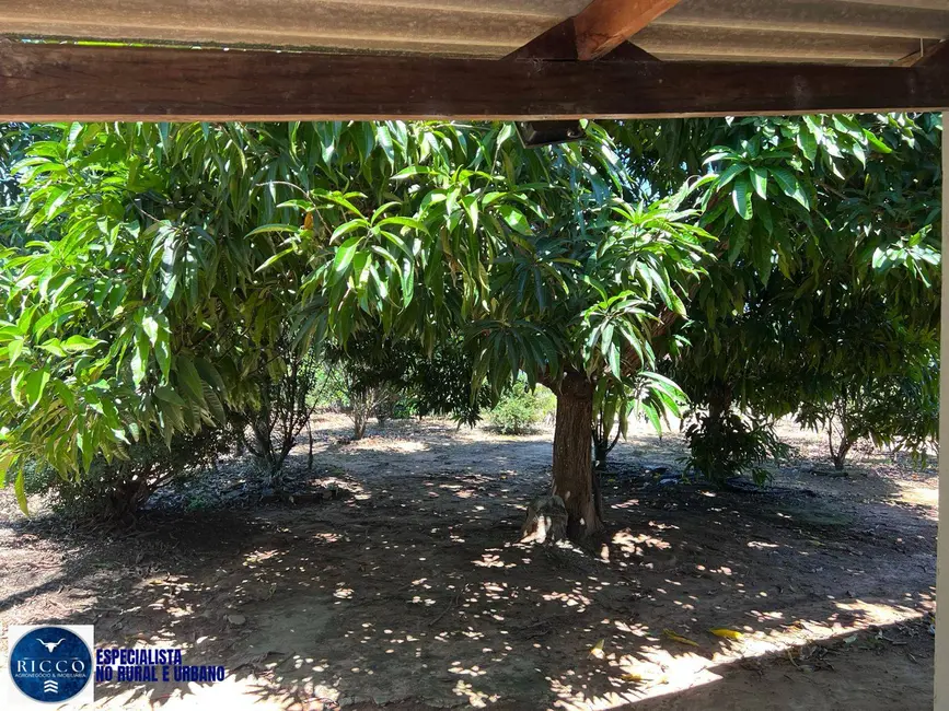 Foto 6 de Chácara com 3 quartos à venda em Pirenopolis - GO