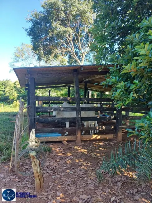 Foto 4 de Chácara com 3 quartos à venda em Sao Francisco De Goias - GO