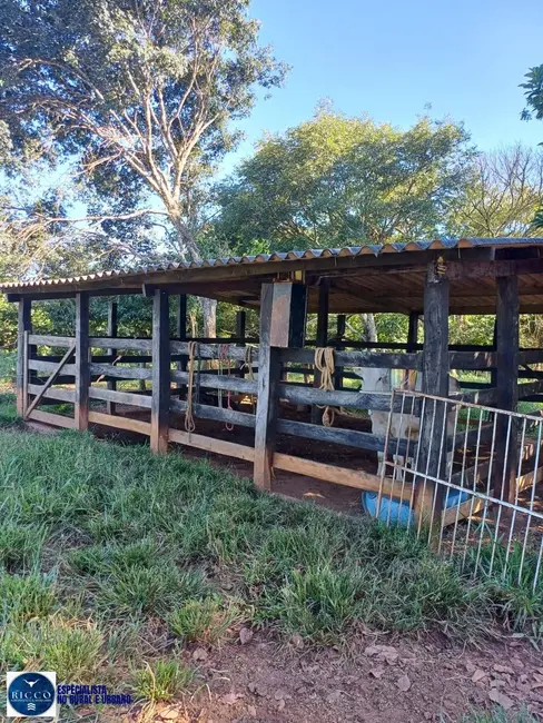 Foto 3 de Chácara com 3 quartos à venda em Sao Francisco De Goias - GO