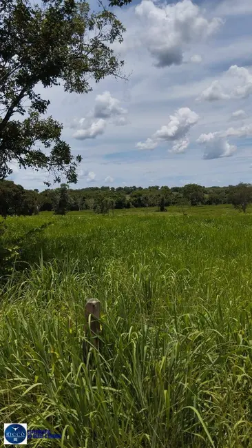 Foto 2 de Fazenda / Haras à venda, 48m2 em Porangatu - GO