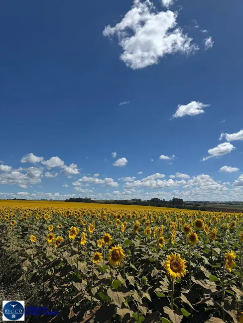 Chácara com 3 quartos à venda, 13m2 em Anapolis - GO - imagem 2 Foto 2 de Chácara com 3 quartos à venda, 13m2 em Anapolis - GO