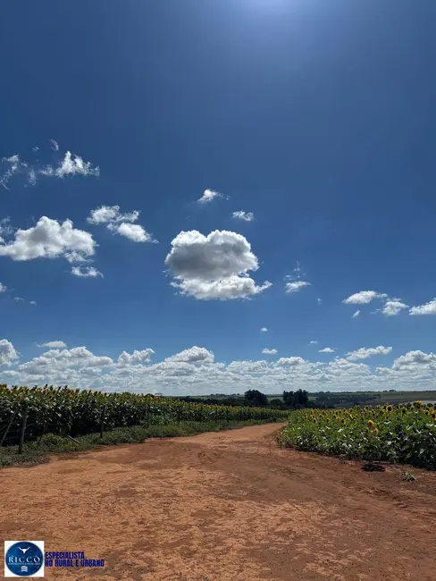 Chácara com 3 quartos à venda, 13m2 em Anapolis - GO - imagem 9 Foto 9 de Chácara com 3 quartos à venda, 13m2 em Anapolis - GO