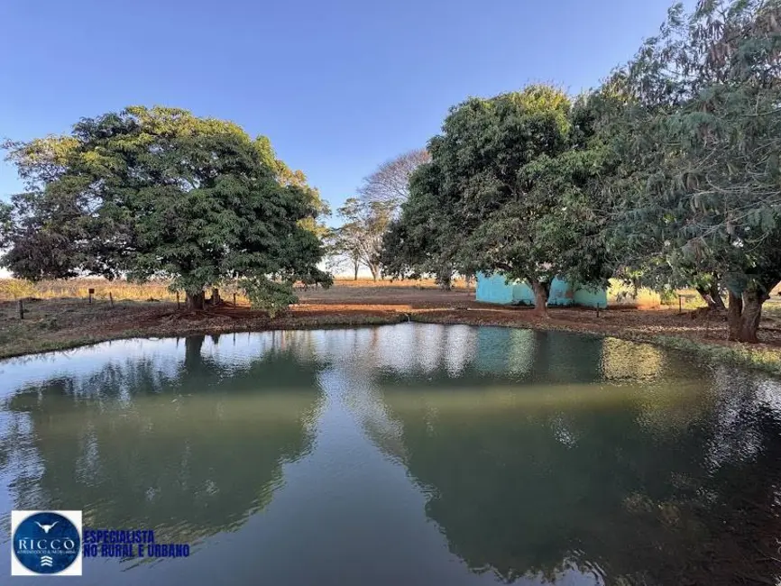 Chácara com 3 quartos à venda, 13m2 em Anapolis - GO - imagem 1 Foto 1 de Chácara com 3 quartos à venda, 13m2 em Anapolis - GO