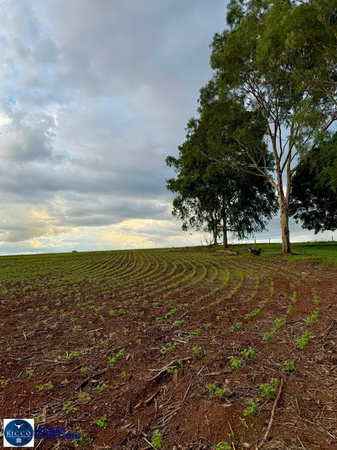 Chácara com 3 quartos à venda, 13m2 em Anapolis - GO - imagem 4 Foto 4 de Chácara com 3 quartos à venda, 13m2 em Anapolis - GO