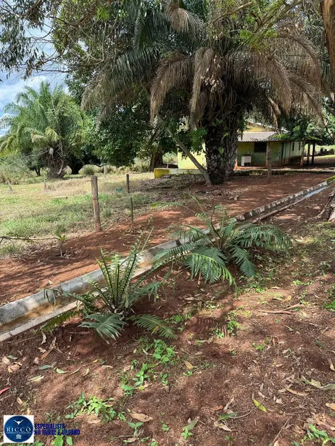 Chácara com 3 quartos à venda, 13m2 em Anapolis - GO - imagem 8 Foto 8 de Chácara com 3 quartos à venda, 13m2 em Anapolis - GO